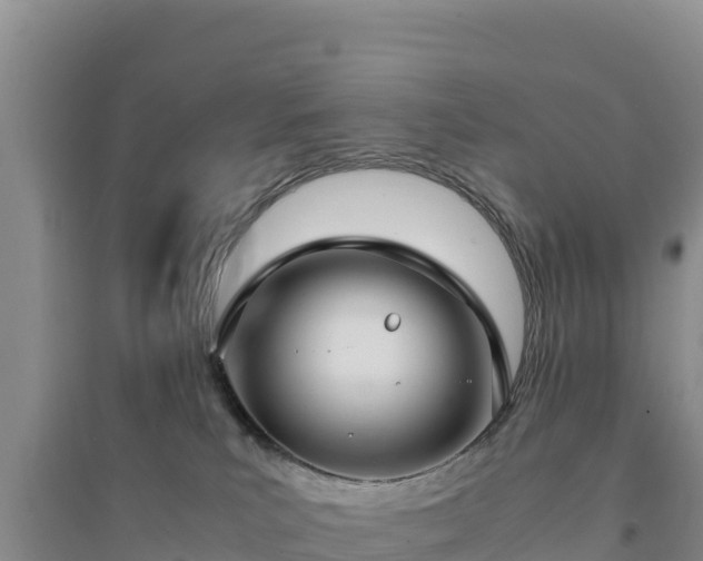 X0000094340039200711091439
