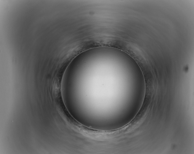 X0000094340040200711091439