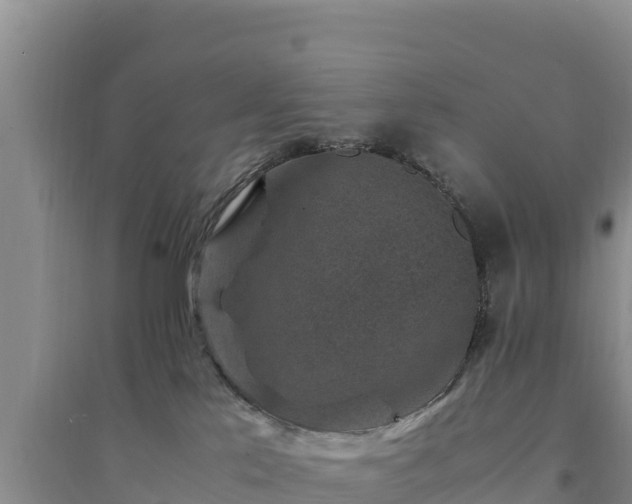 X0000094340041200711091439