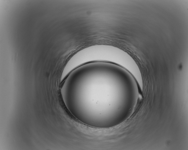 X0000094340043200711091439