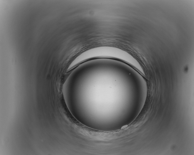 X0000094340044200711091439