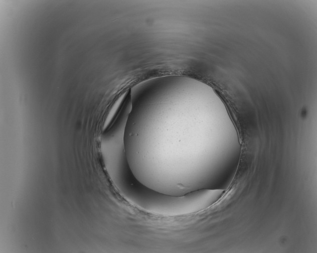 X0000094340045200711091439