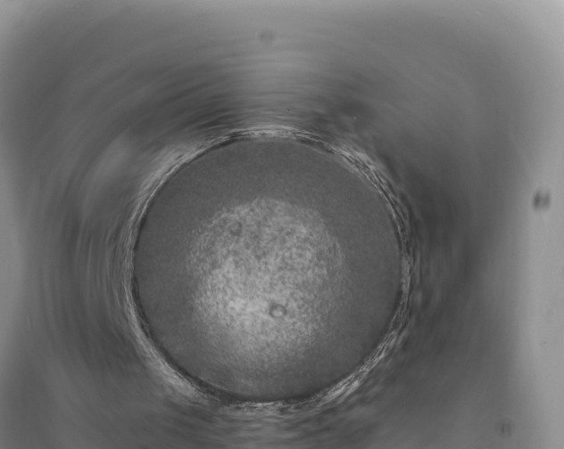 X0000094340049200711091438