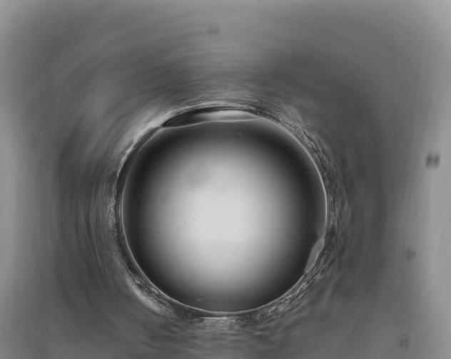 X0000094340050200711091438