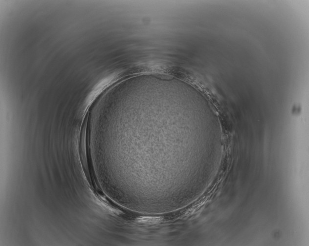 X0000094340051200711091438