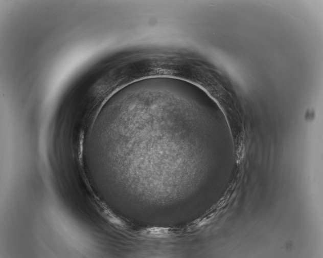 X0000094340052200711091438