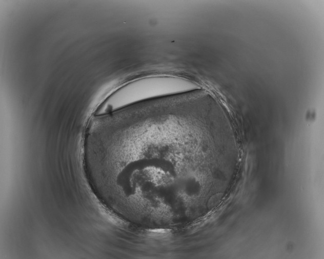 X0000094340053200711091438