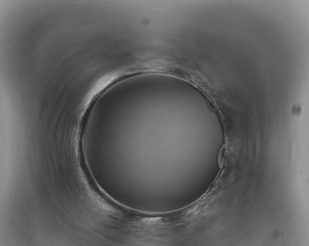 X0000094340054200711091438
