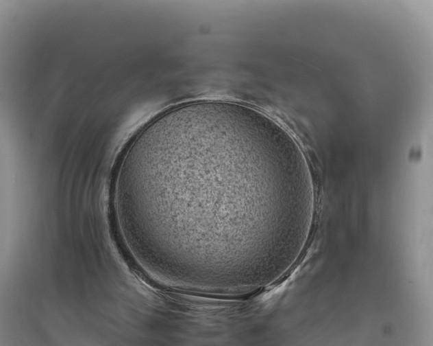 X0000094340055200711091438