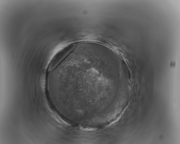 X0000094340056200711091438
