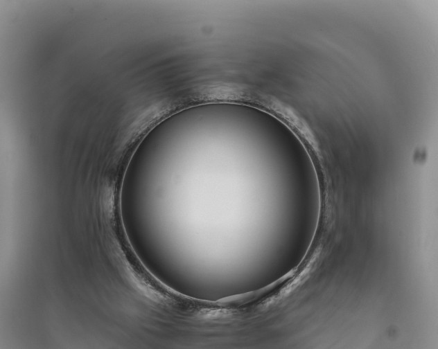 X0000094340057200711091438