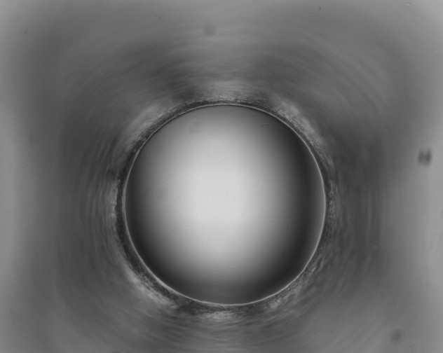 X0000094340058200711091438