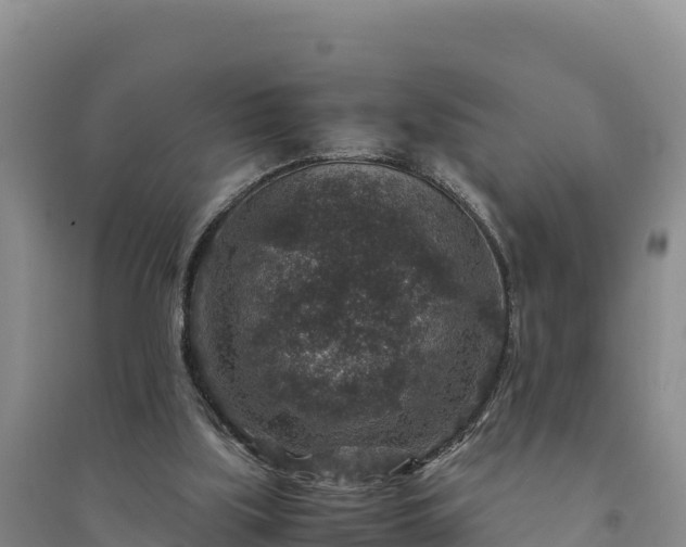 X0000094340059200711091438