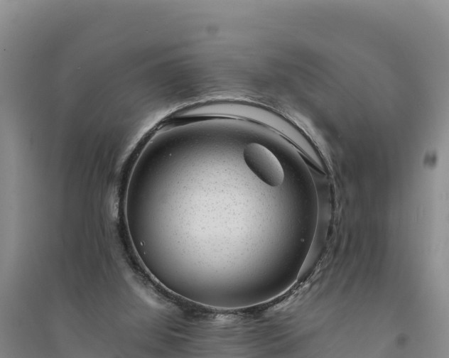 X0000094340060200711091438