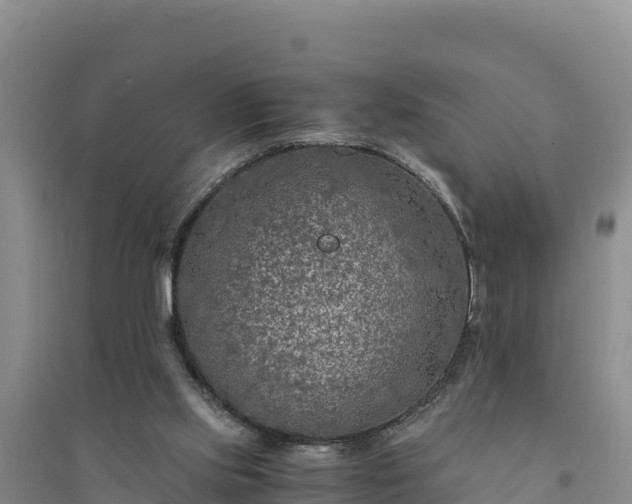 X0000094340061200711091438