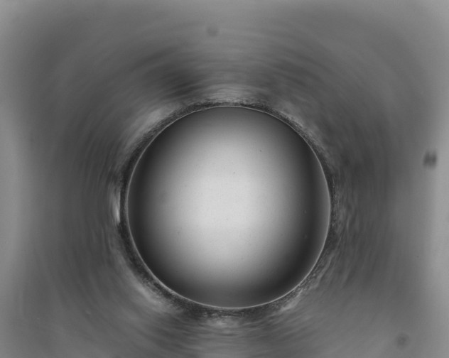 X0000094340062200711091438