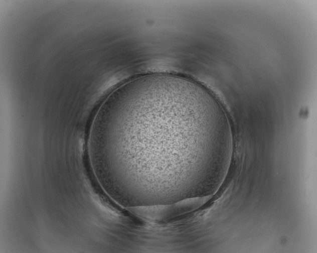 X0000094340063200711091438
