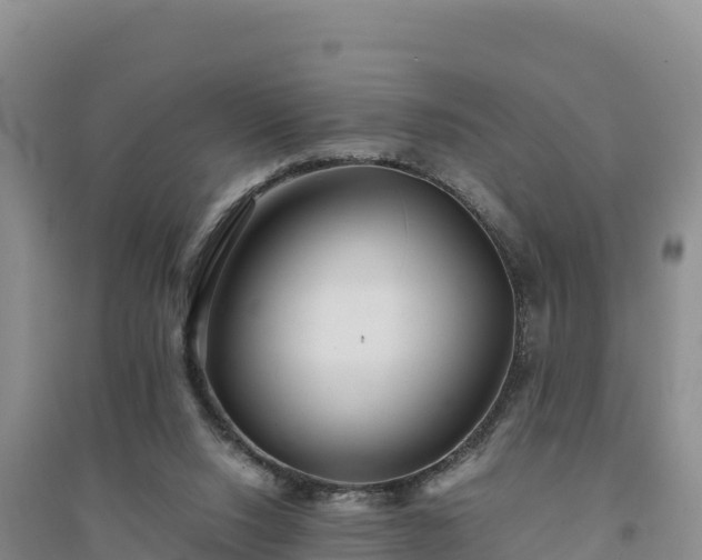X0000094340064200711091438