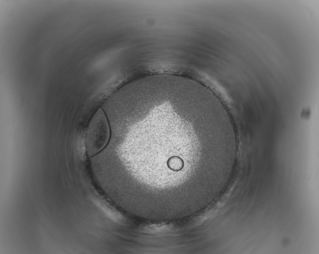 X0000094340065200711091438