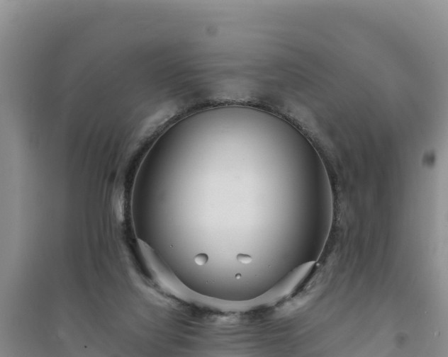 X0000094340068200711091438