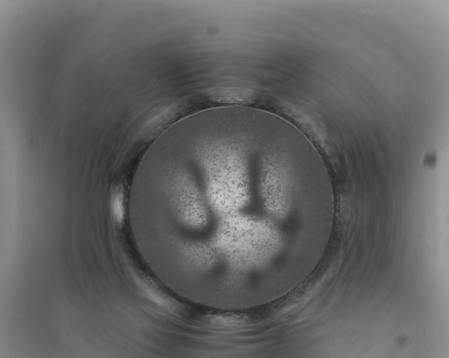 X0000094340069200711091438