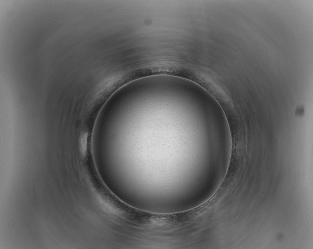 X0000094340070200711091438