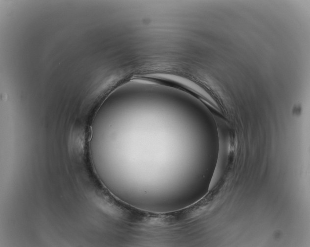 X0000094340072200711091438