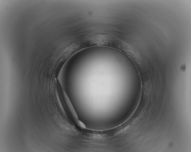 X0000094340073200711091438