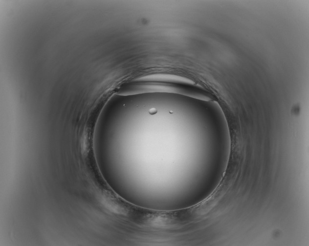 X0000094340074200711091438