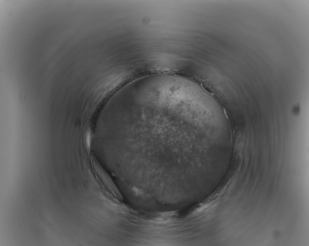 X0000094340076200711091439