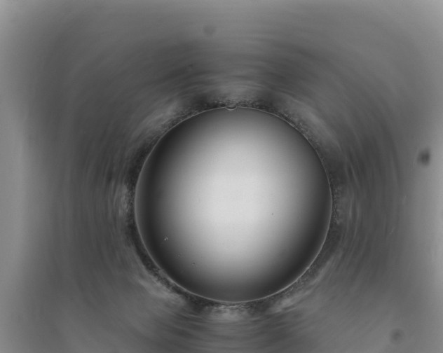 X0000094340077200711091439