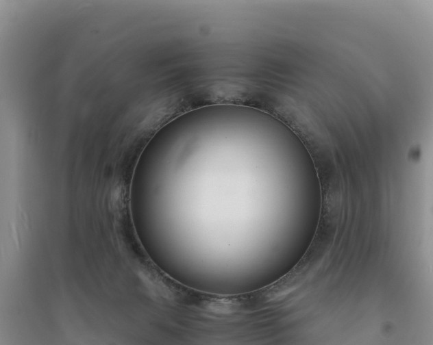 X0000094340079200711091439
