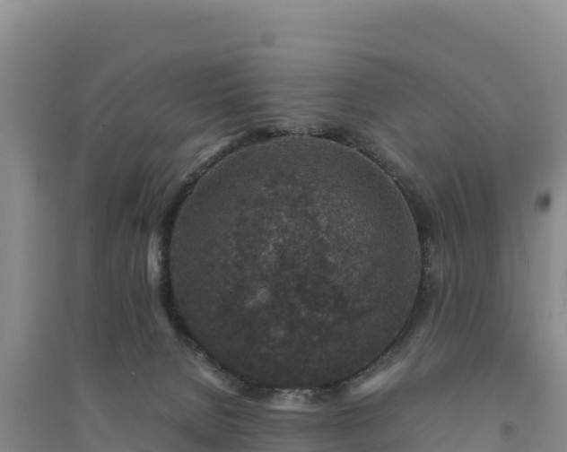 X0000094340080200711091439
