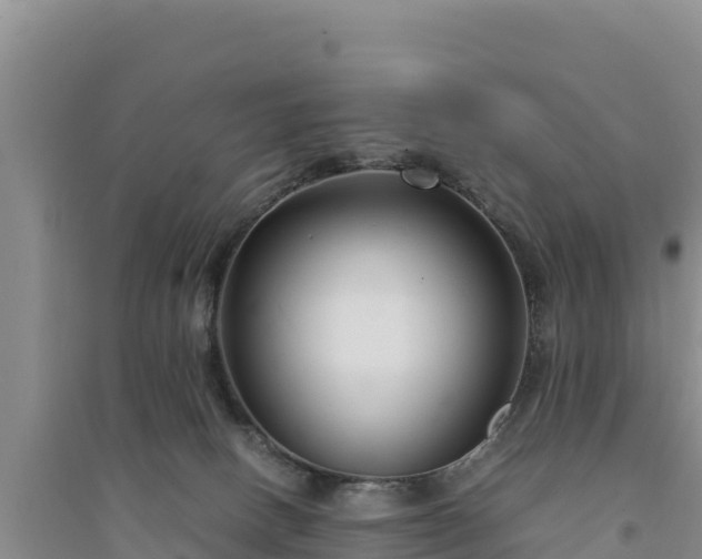 X0000094340082200711091439
