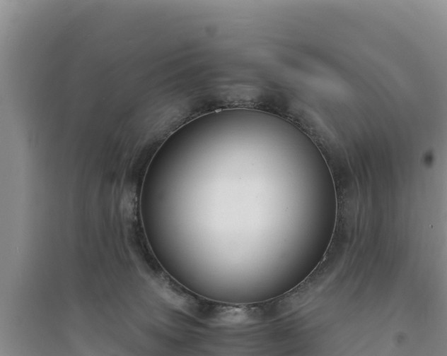 X0000094340083200711091439