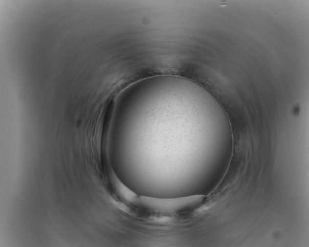 X0000094340084200711091439