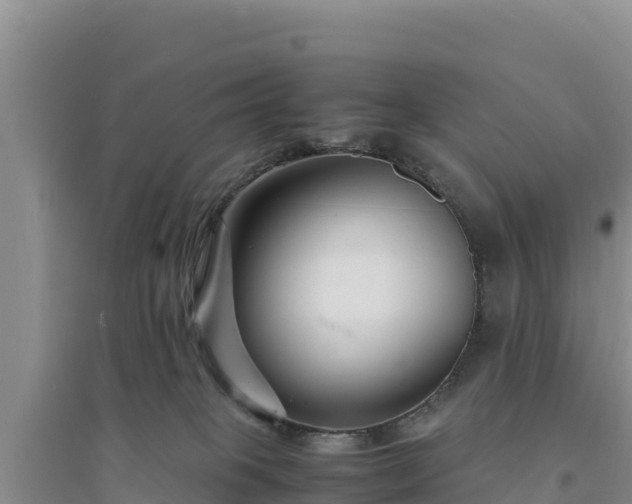 X0000094340085200711091439