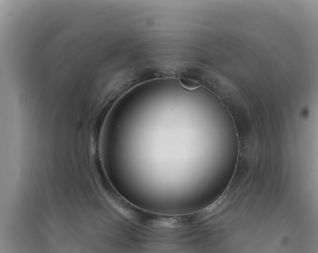 X0000094340086200711091439