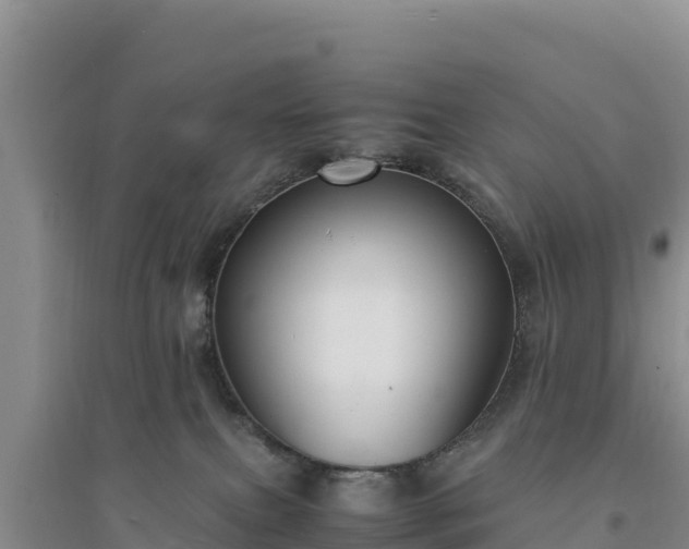 X0000094340087200711091439