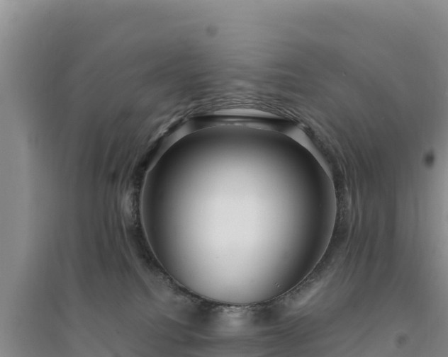 X0000094340088200711091439