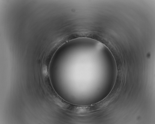 X0000094340089200711091439