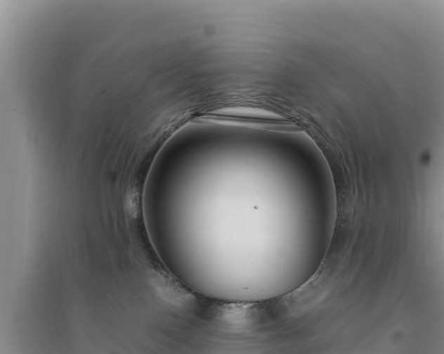 X0000094340090200711091439