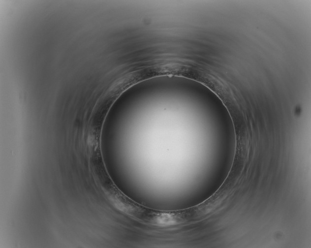 X0000094340091200711091439