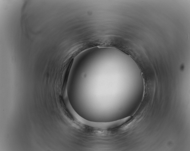 X0000094340092200711091439