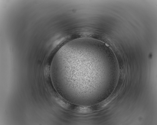 X0000094340093200711091439