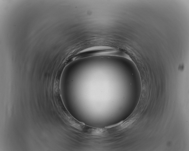 X0000094340096200711091439