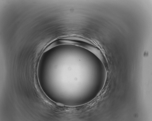 X0000094340097200711091438