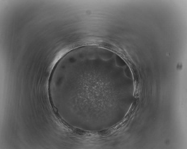 X0000094340099200711091438
