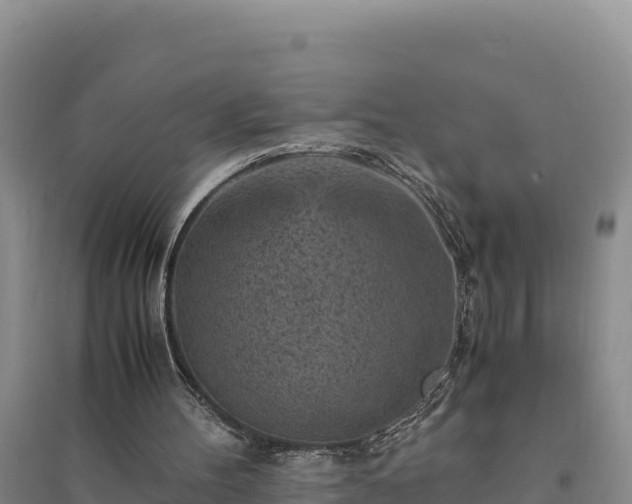 X0000094340100200711091438
