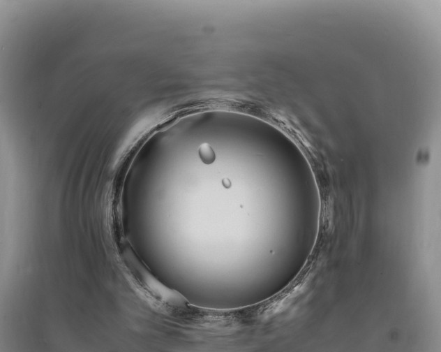 X0000094340101200711091438